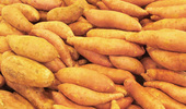 Span2.sweet-potatoes-1543360